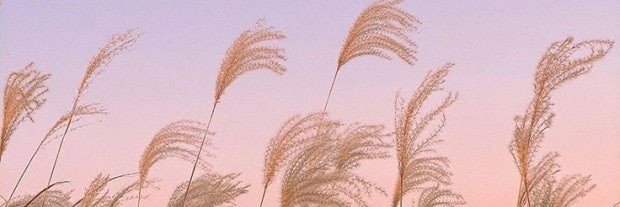 MD마왕's banner