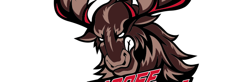 Moose Jaw Winmar® Warriors's banner