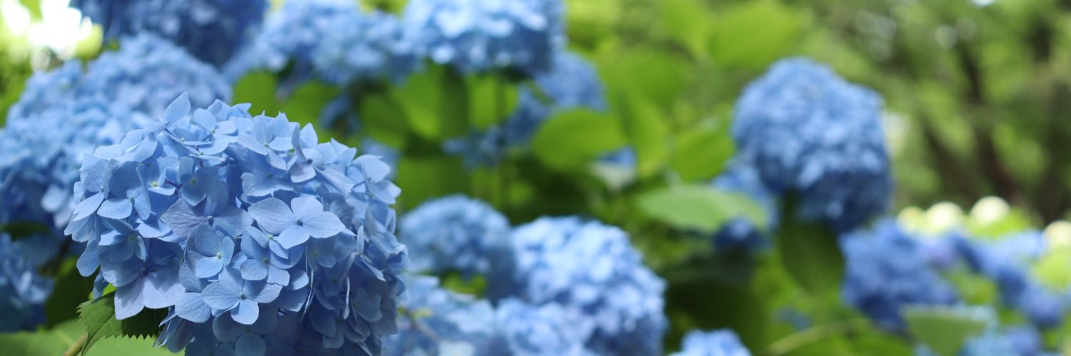 うみまーる's banner