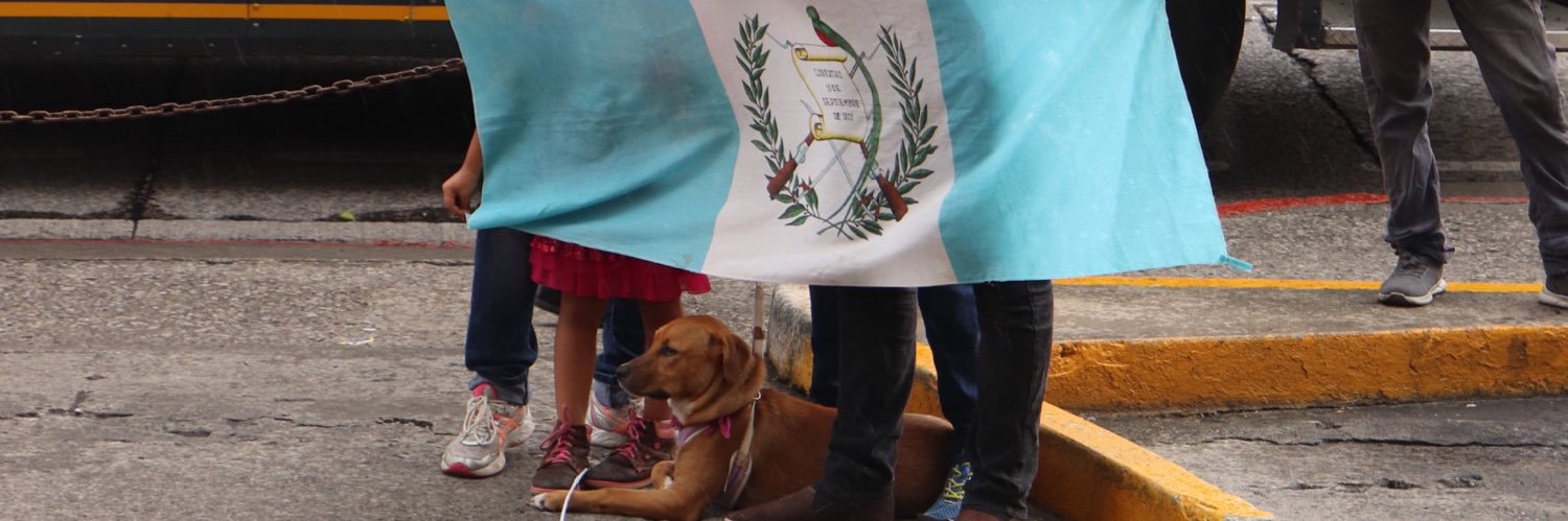 Jeanelly Dabeyba's banner