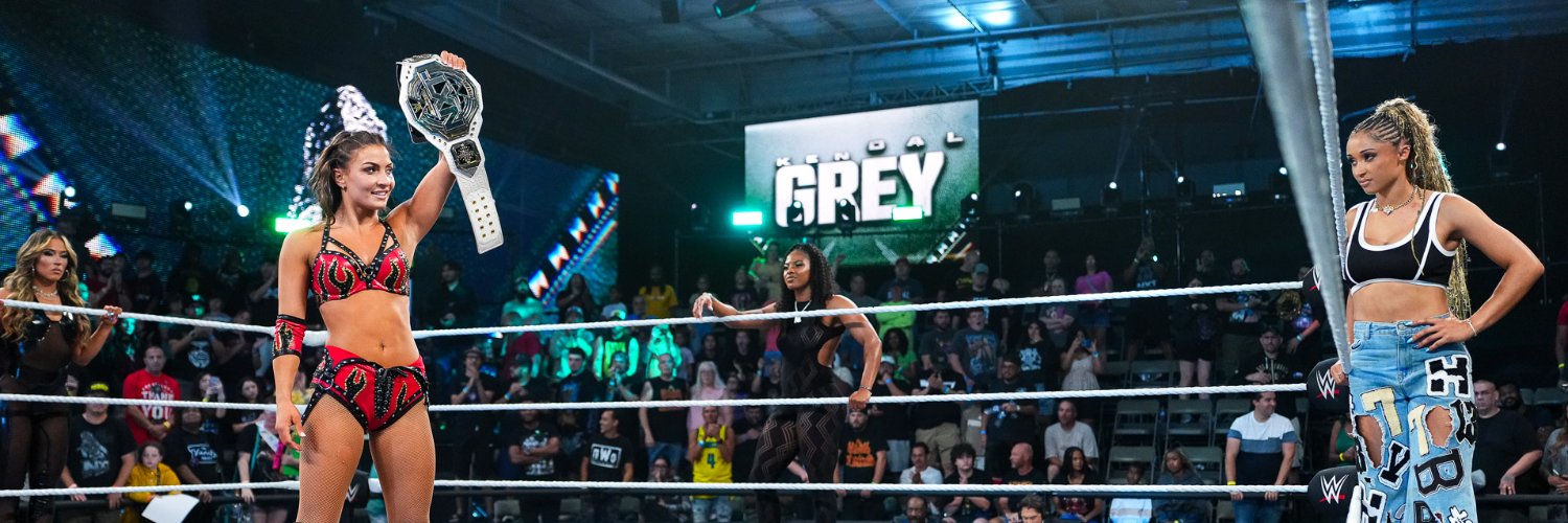 WWE NXT's banner