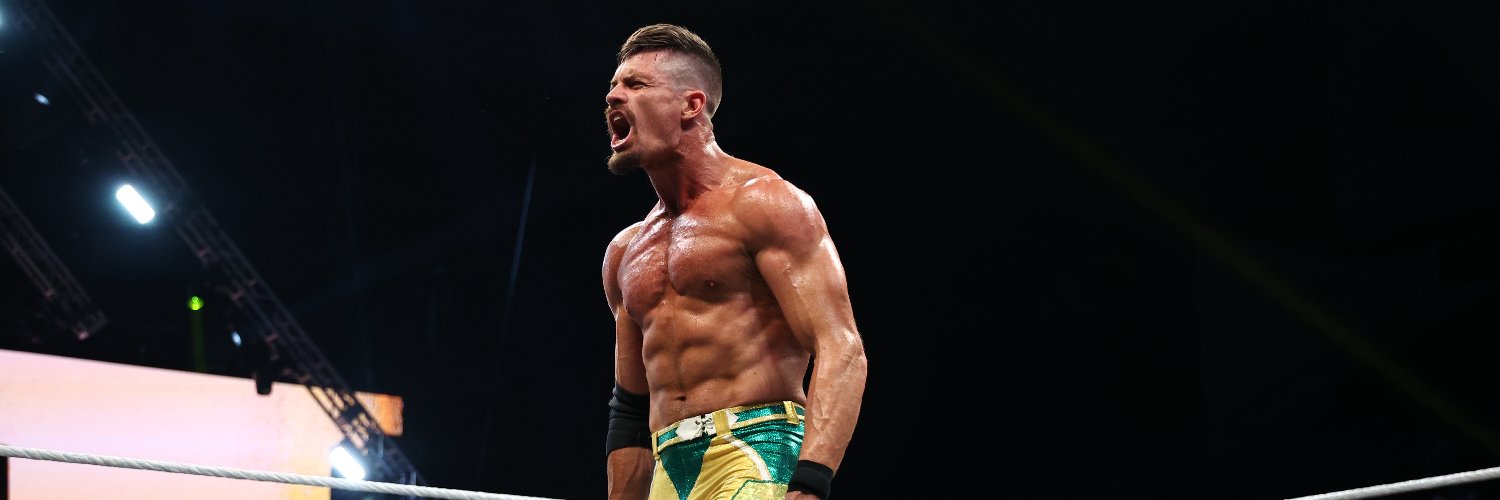 WWE NXT's banner