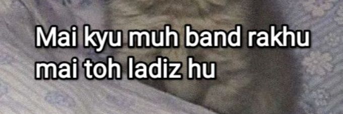 Ishq🏵️'s banner