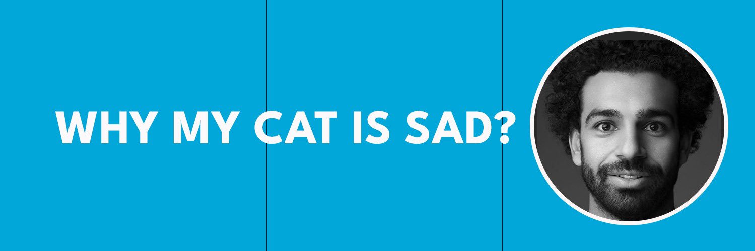 WHYMYCATISSAD's banner