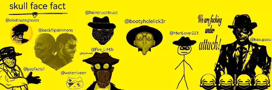 Skull Face Facts's banner