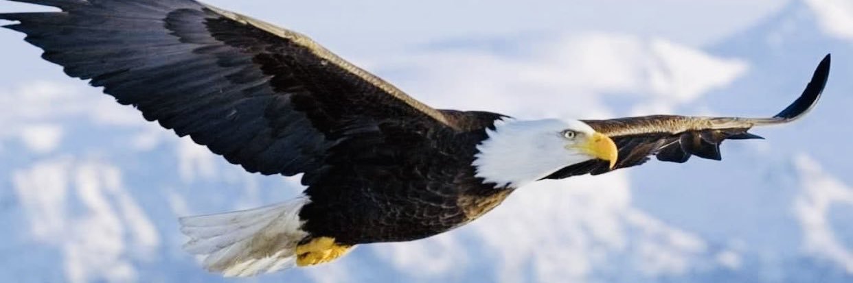 جنرال جانباز's banner