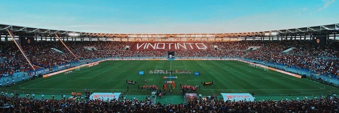 Aranguismo's banner