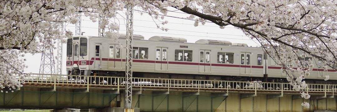 だが屋@キンカ変態's banner