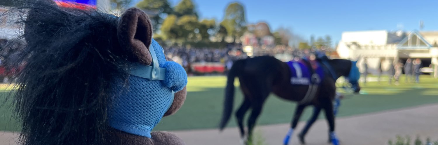 なほのウマ🐴💕's banner