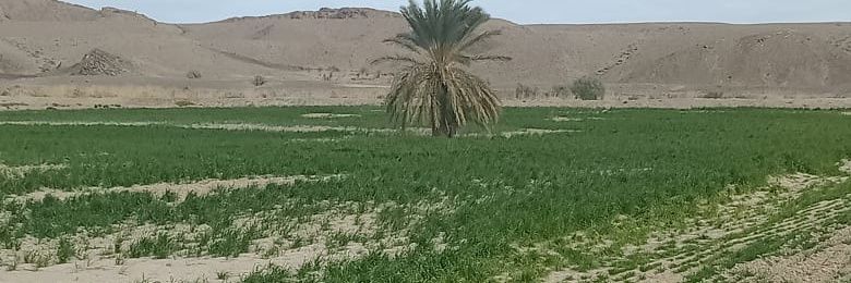 Dr Hussain Baloch's banner