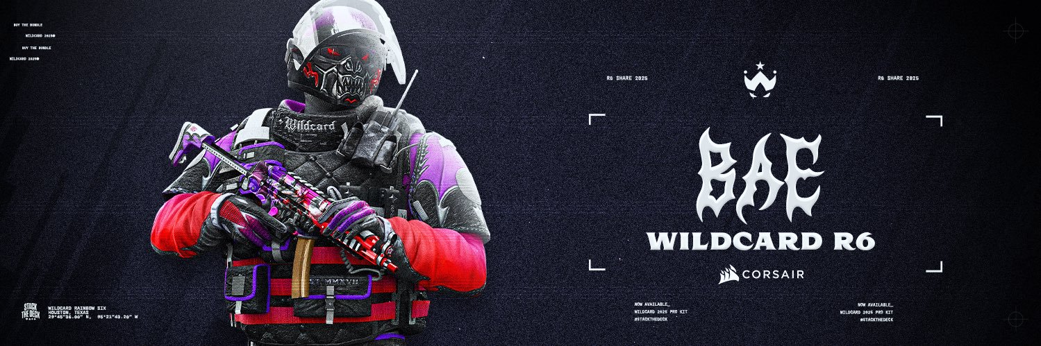bae's banner