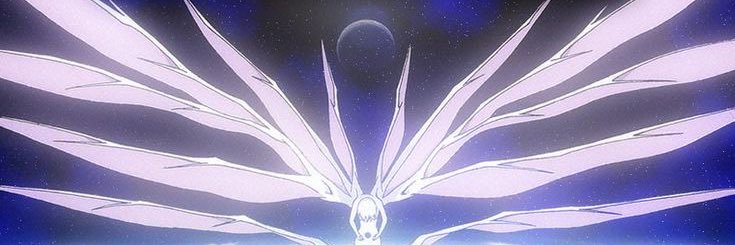 🦋🦚's banner