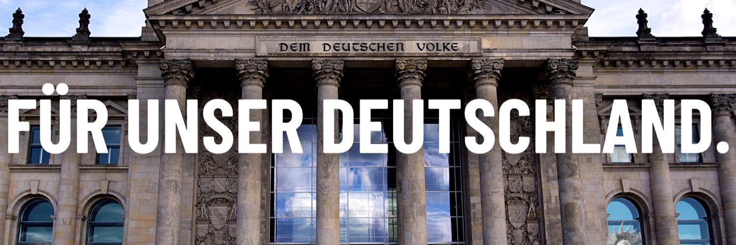 MdB Prof. Dr. Ingo Hahn AfD's banner