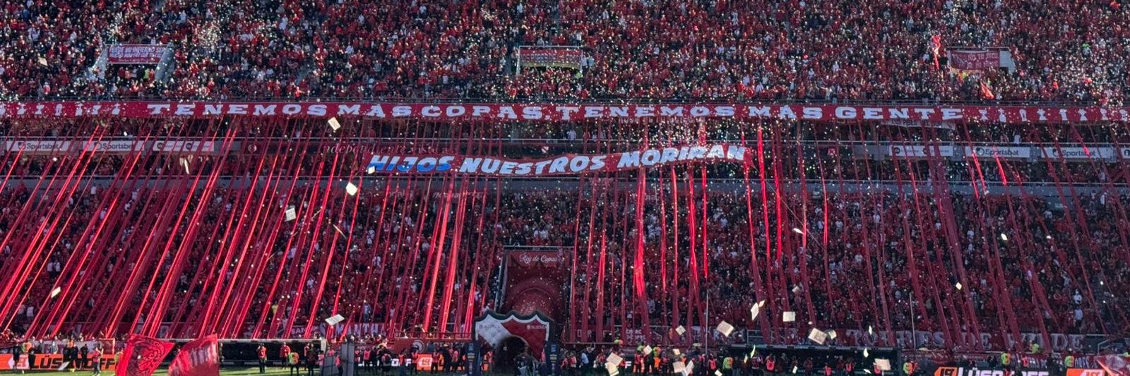 мαятιη's banner