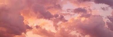andrea ☆'s banner