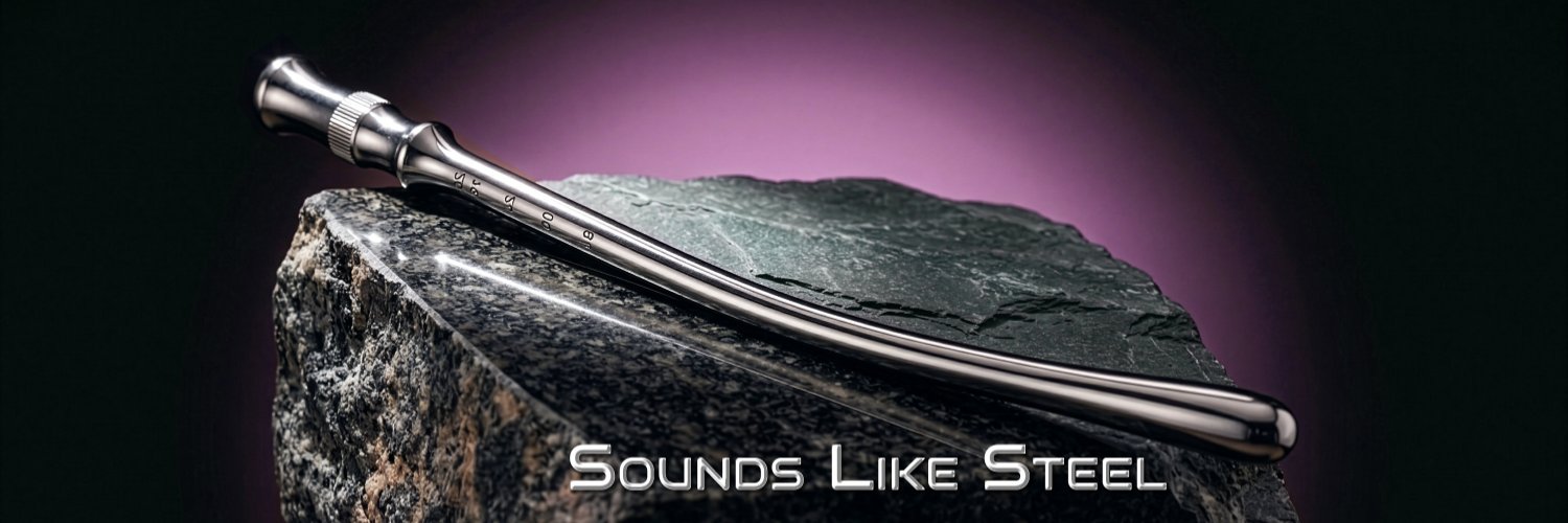 Sσundѕ Líkє Stєєl's banner