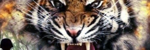 🅖🅐🅣🅤🅣 🅚🅐🅒🅐 ™️ 🇵🇸's banner