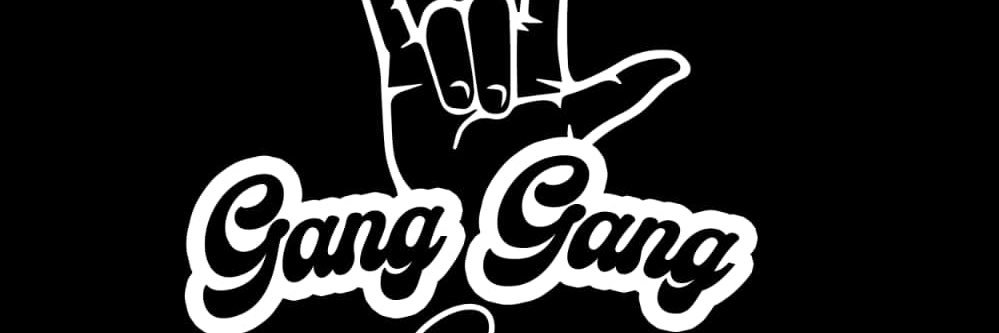 GangGang-Girl🤟🇳🇦's banner