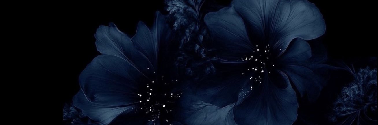 Larissa's banner
