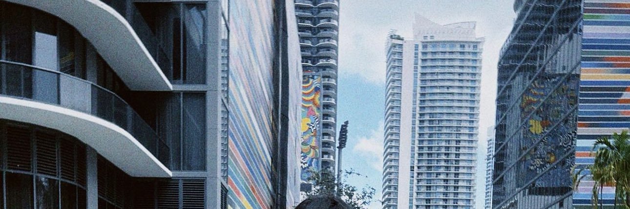 גל דבוש's banner