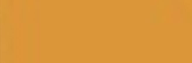Guru's banner
