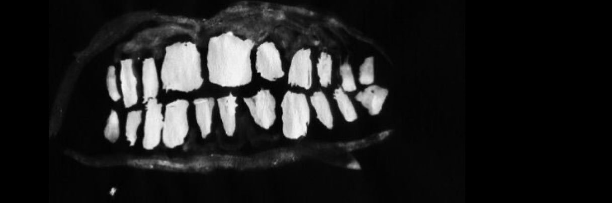 els's banner