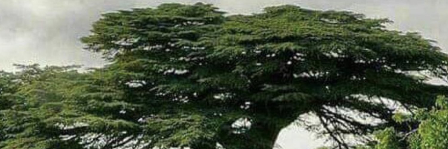 True lebanese's banner