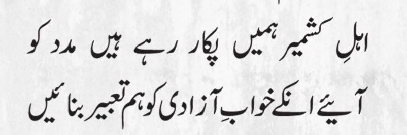 Abu Taimur🐅's banner