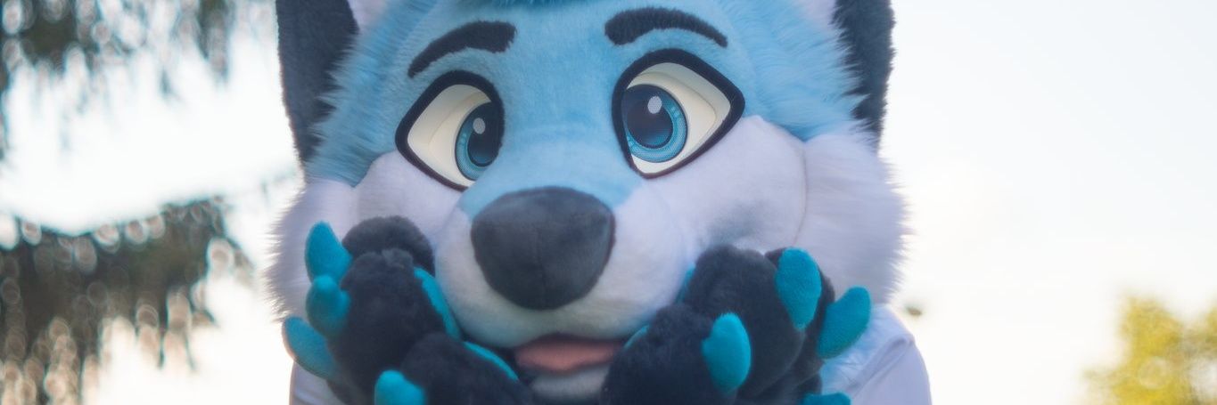 Aero 🦊's banner