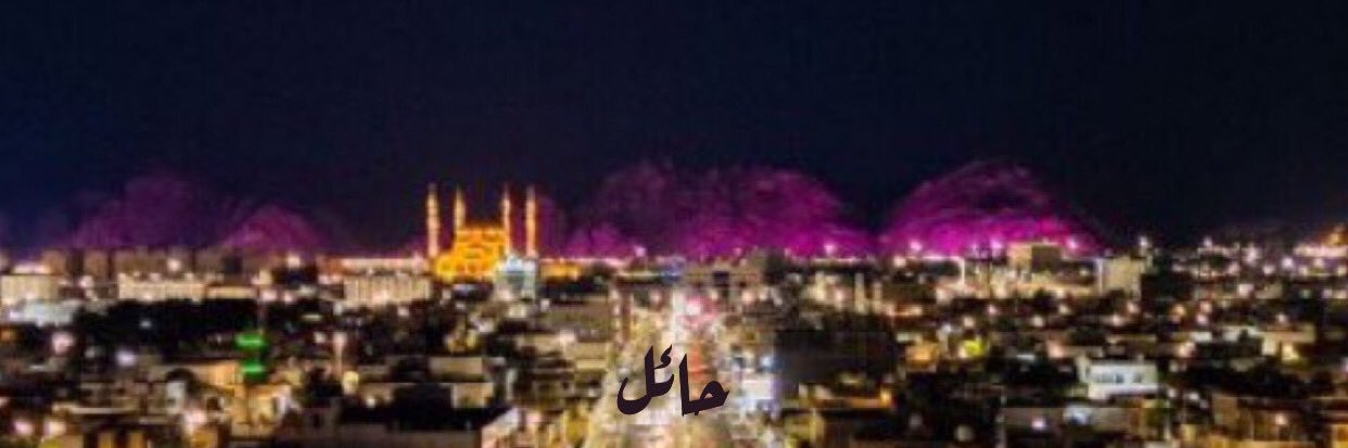 ‏الـعـنـALANEEDـيـد (💛💙) (حايل)'s banner