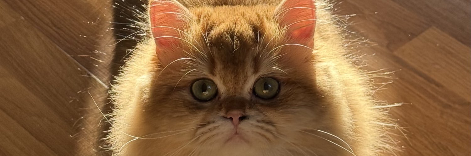 Ömer Aydın Öztürk's banner
