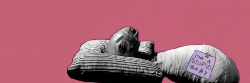 laurinha 🦠's banner