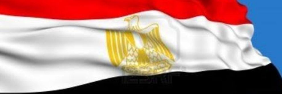 Samah Elhdeedy's banner