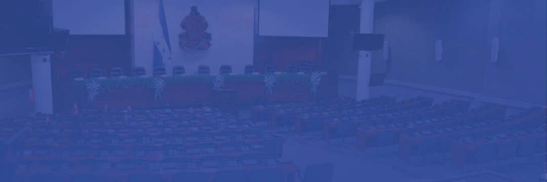 Congreso Nacional's banner