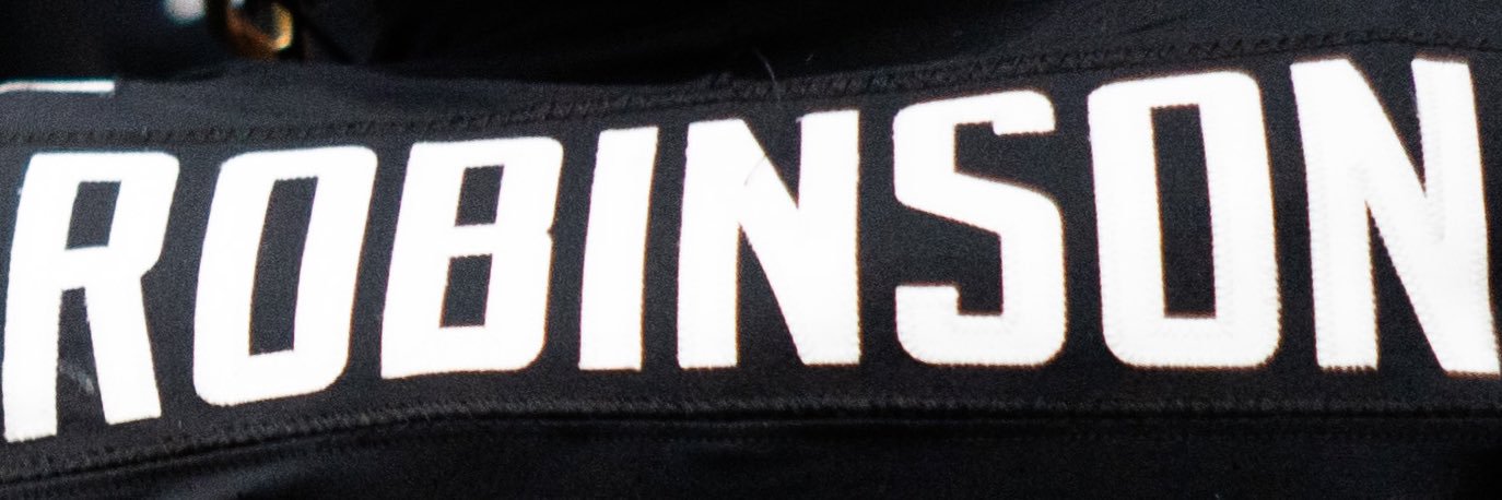 Nahmier Robinson's banner