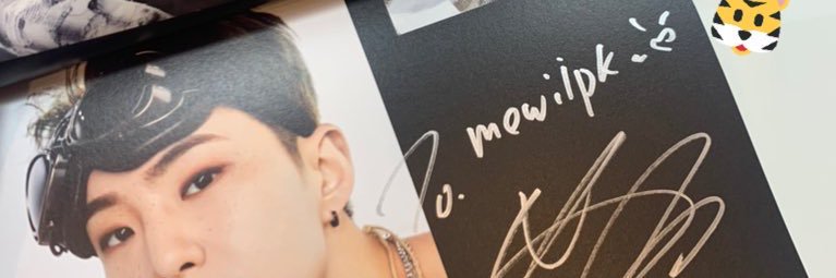 〔 mewiipk🐯🤍〕's banner