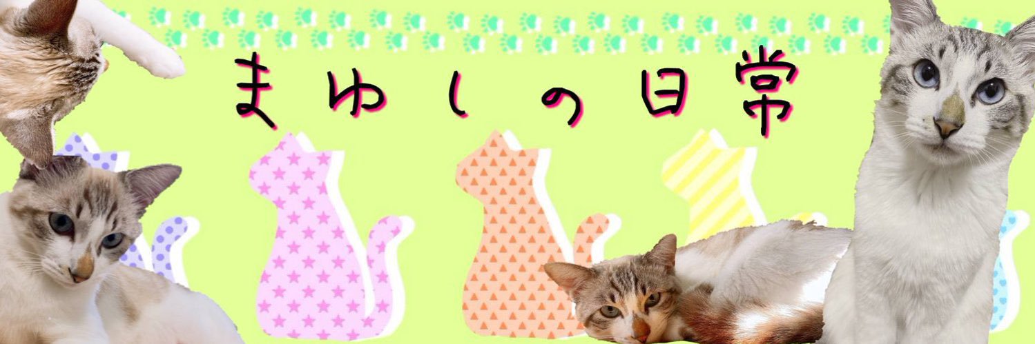まゆしーの日常🍜🐾🍯🐝's banner