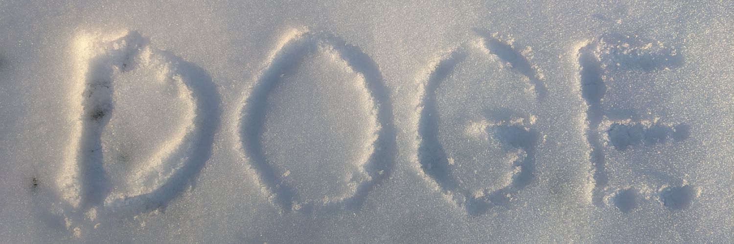 Dogetastic's banner