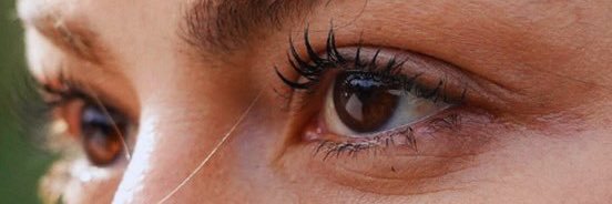 dmt_sibel 🐢's banner
