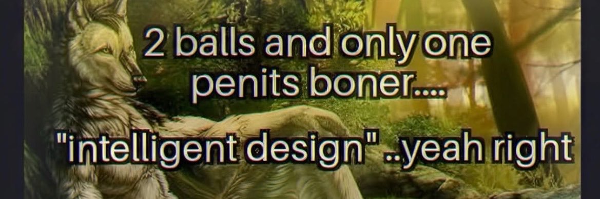 ۟💤's banner