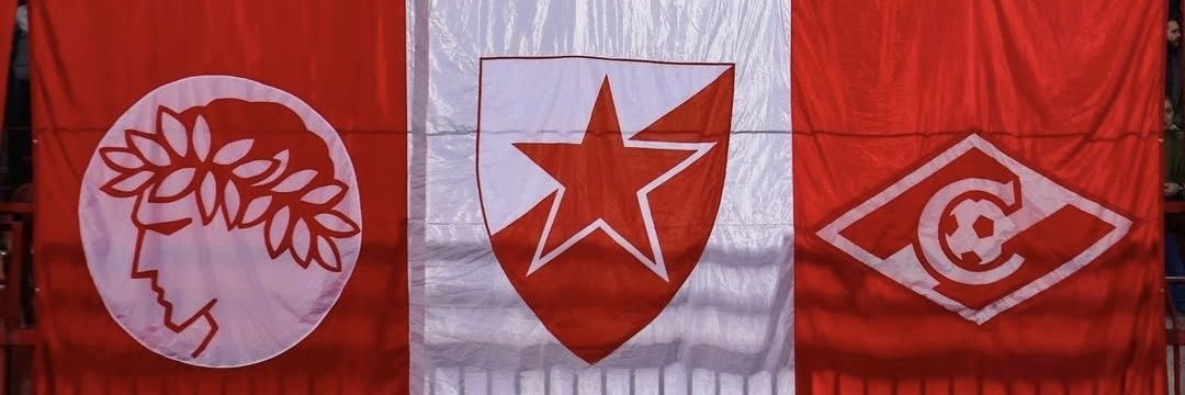 Nemanja's banner