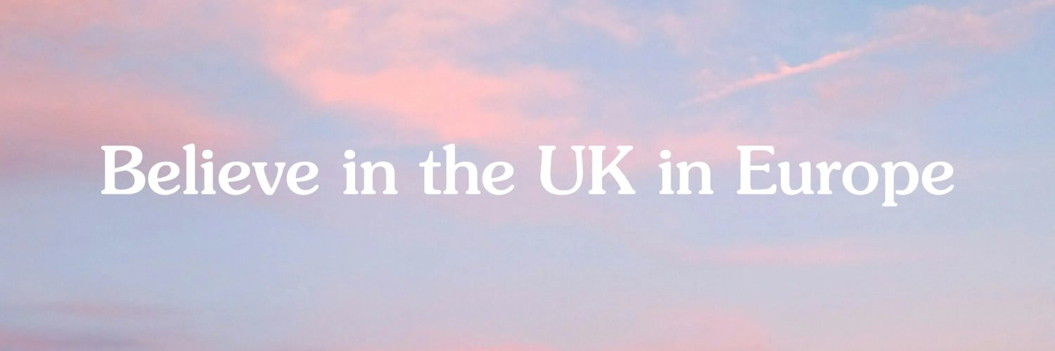 European Movement UK's banner