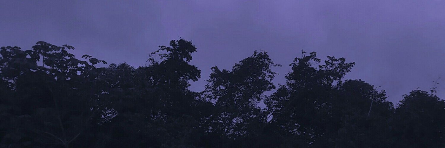 jzz's banner