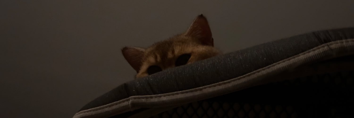 danielc 's banner