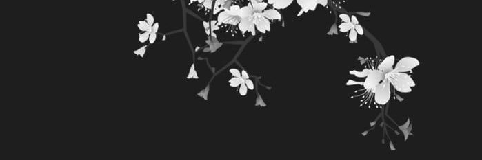 Ivyy's banner