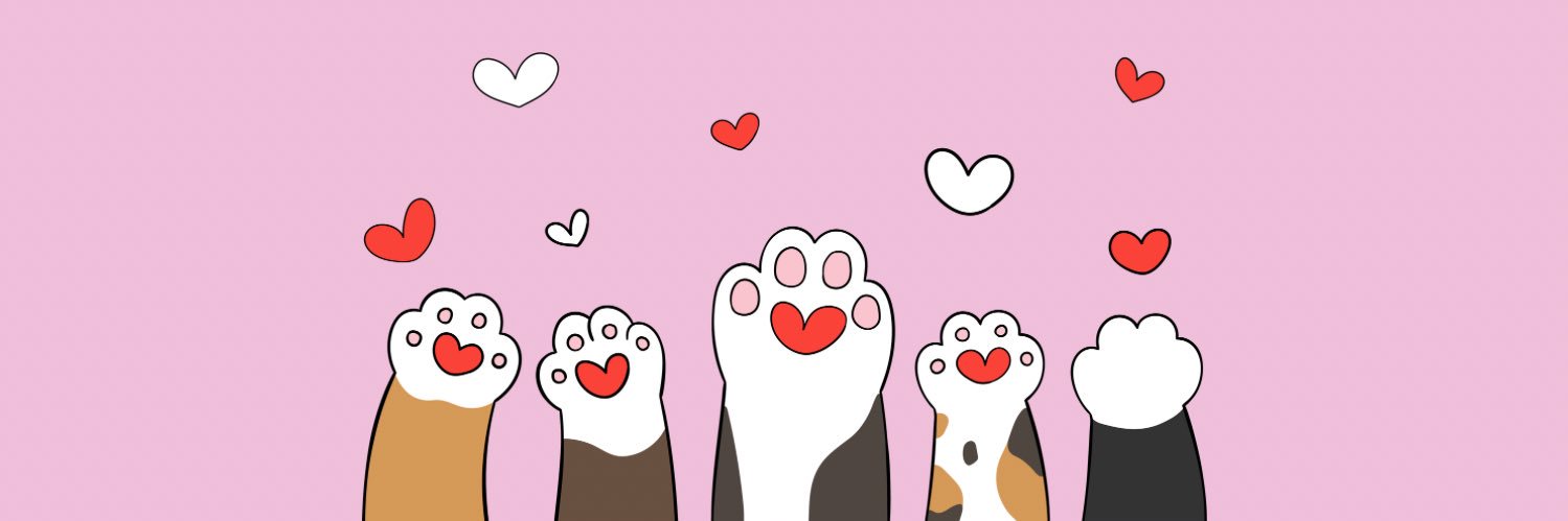 Cat Knows Everything's banner