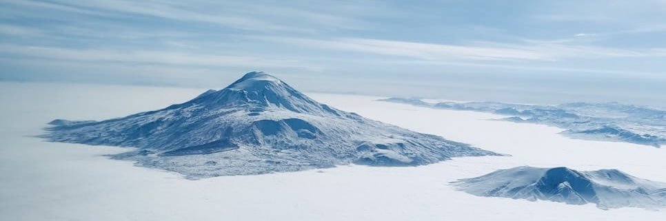 Zembîlfroş 🦩's banner