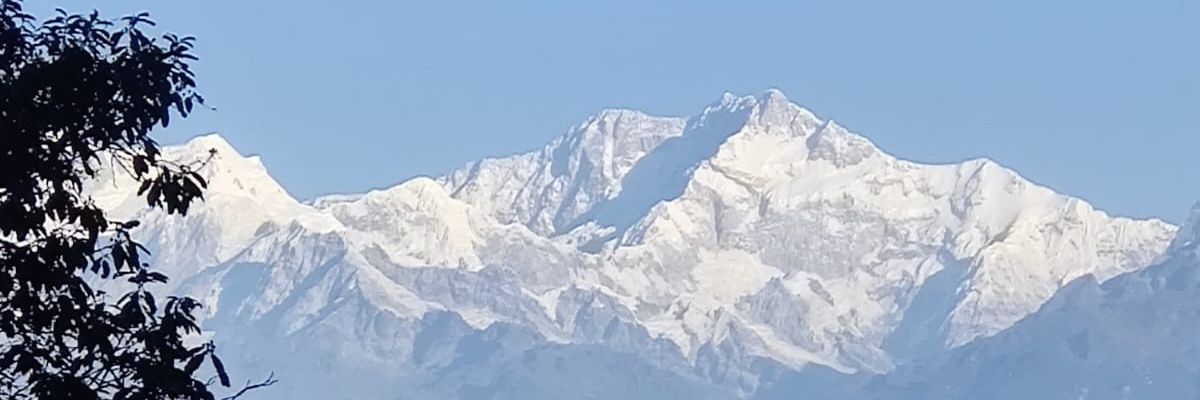 Shiva's banner