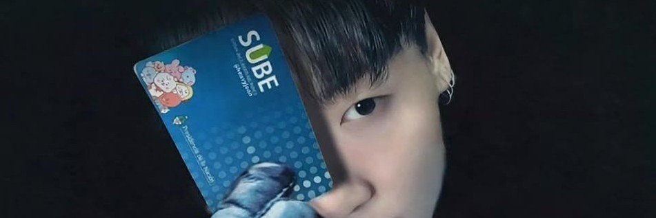 lu ;'s banner