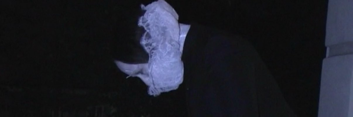 allie x's banner